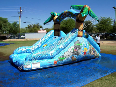 10' Tropical Water Slide rental, phoenix scottsdale, az
