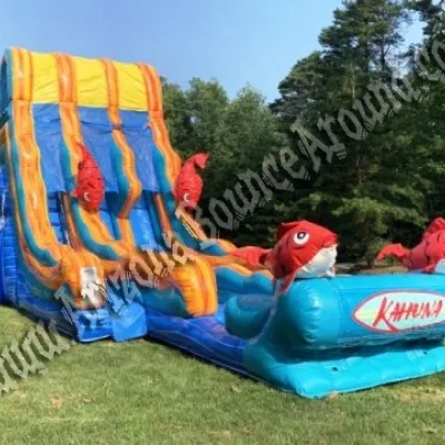 22 Foot Duel Lane Kahuna Water Slide Rental Phoenix Arizona