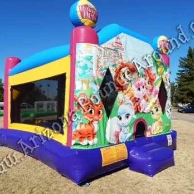 Disney Palace Pets Bounce House Rentals Phoenix