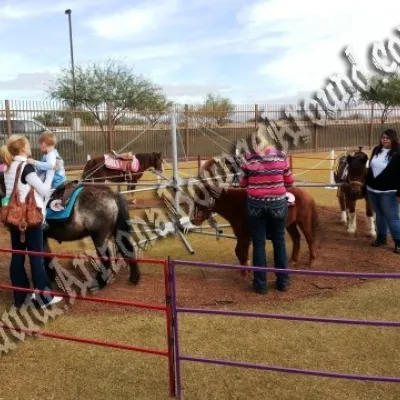 Pony Rides for Hire, Pony Ride rentals, Phoenix, Scottsdale AZ 