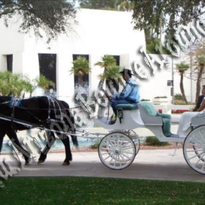 Wedding Carriage rentals, Horse drawn carriage rides, Scottsdale AZ, Phoenix