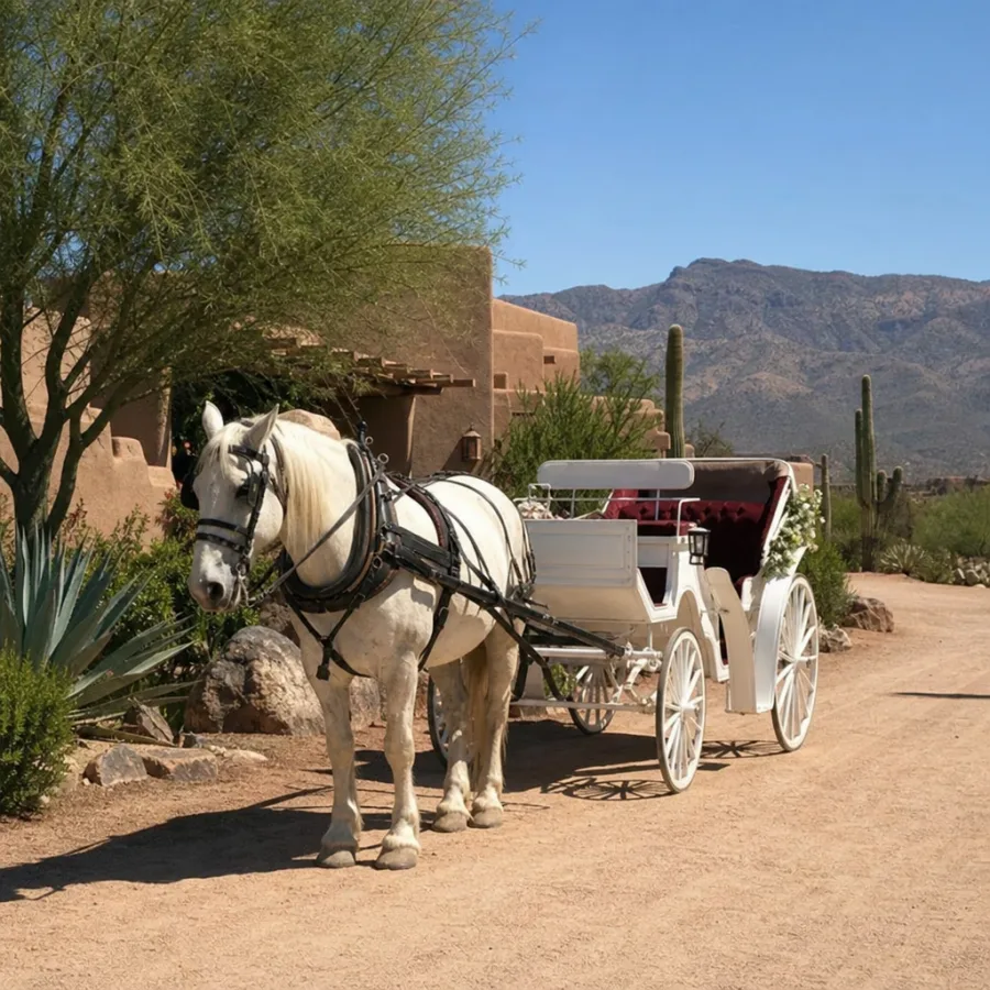 horse drawn carriage waiting on a sunlit desert venue path