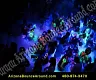 DJ's | Dance Floor-Club Lighting | PA Systems | Audio Video