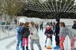 Portable Ice Skating Rink Rental, Arizona