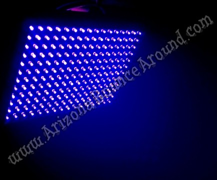 Black Light Rentals  American Party Lights