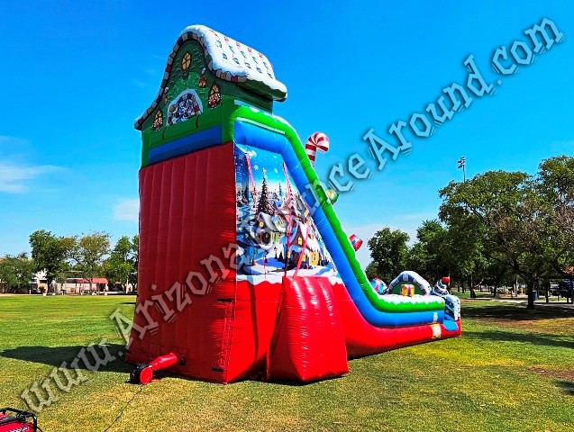 27 Grinch Dual Lane Slide Rental Chandler