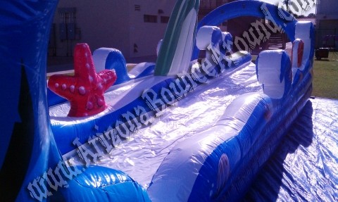 Dual Lane Slip n Slide Chandler, AZ