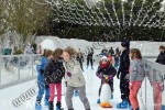 Portable Ice Skating Rink Rental, Arizona