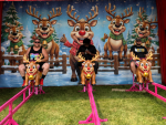 Holiday Rentals