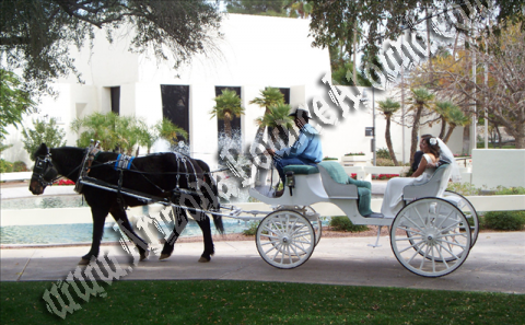 disney carriage rental