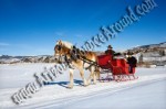 Arizona Sleigh rides for rent