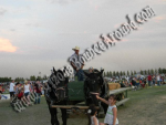 Hay Rides for Hire, Hay Ride rentals, Phoenix, Scottsdale AZ 