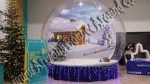 human snow globe rental - Phoenix, Scottsdale, Arizona