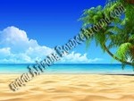 Test Category
