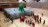 Laser Tag & Inflatable Maze Rentals
